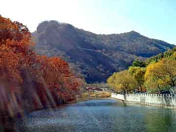 新澳天天开奖资料大全旅游团，欧卡诺丰胸